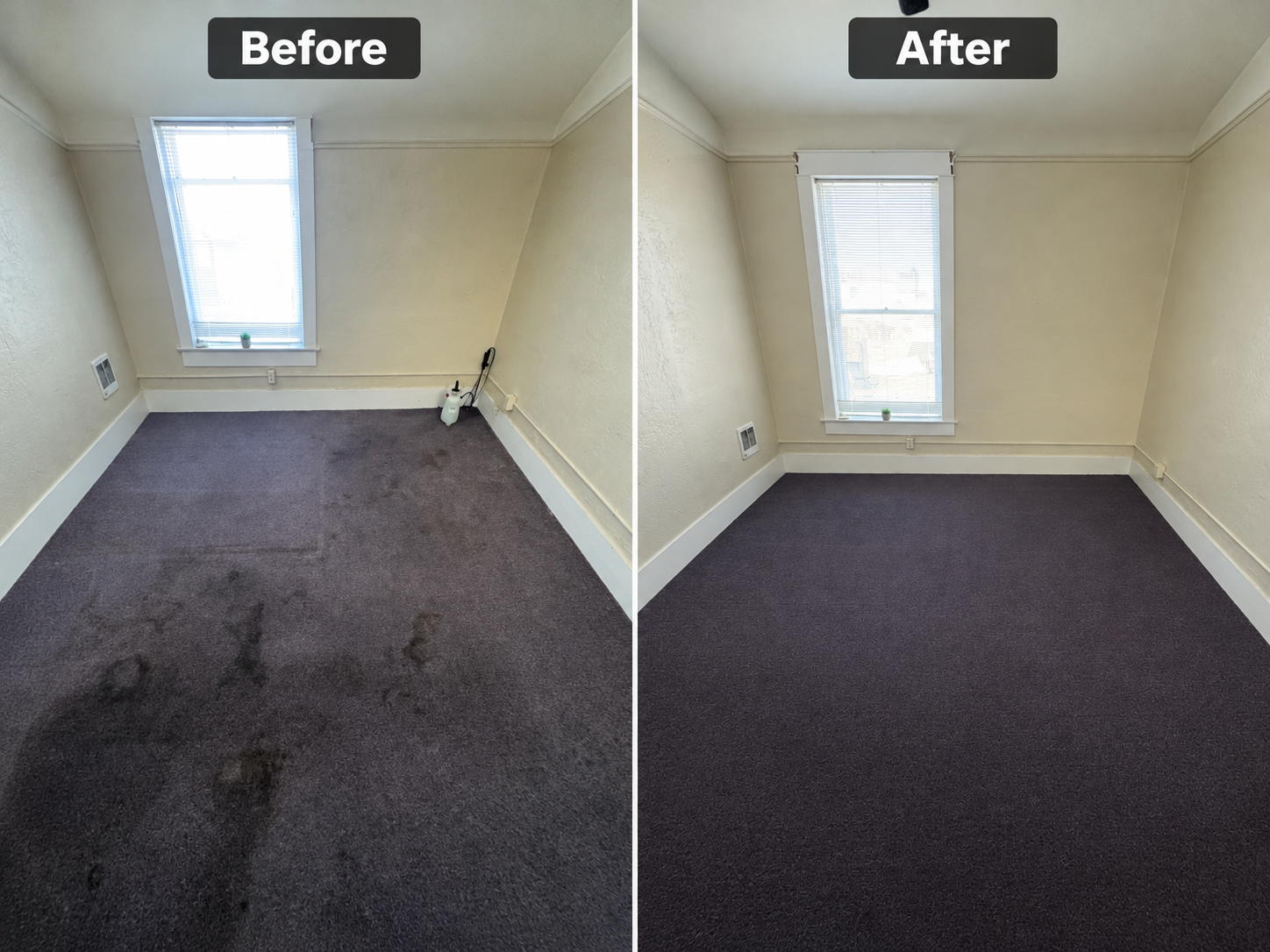 Refreshed office carpet