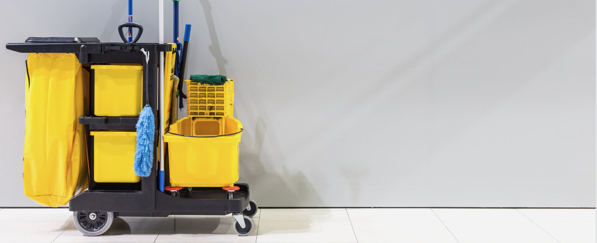 Janitorial services